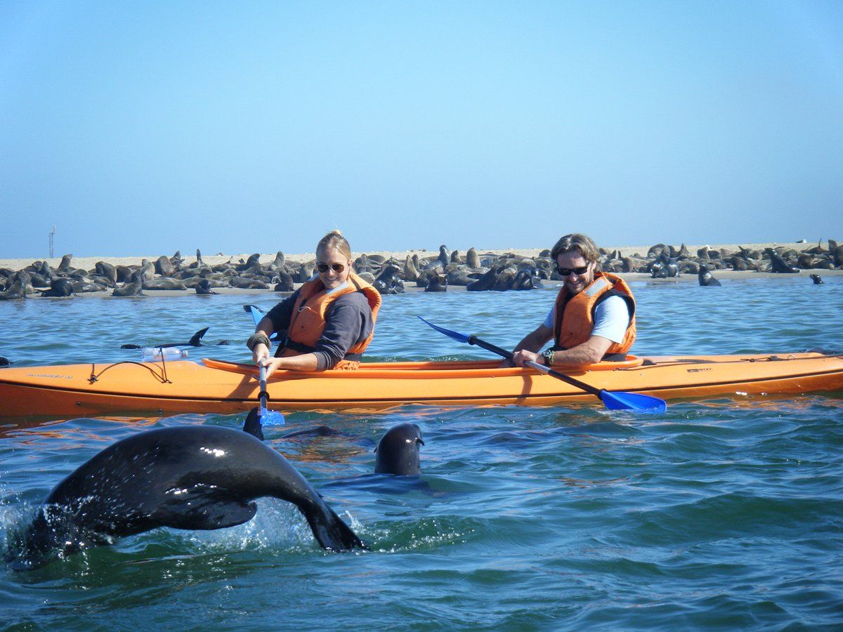 Walvis bay_Kajakken_excursie_Namibie