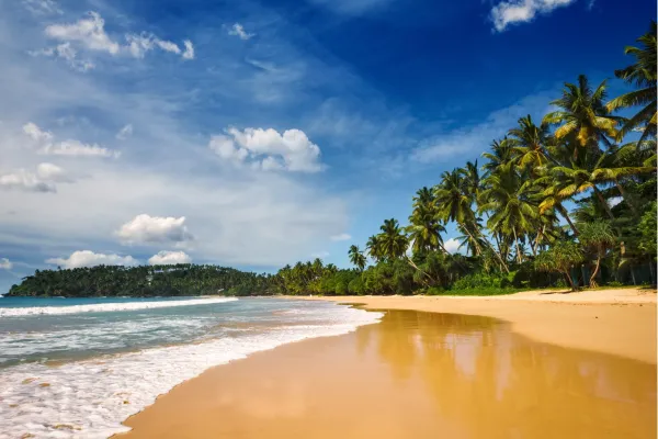 Tropisch zandstrand met palmbomen aan de zuidkust van Sri Lanka