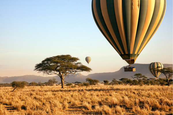 “Ballonvaren boven de Serengeti in Tanzania bij zonsopgang, met panoramisch uitzicht over de savanne en wildmigratie.”