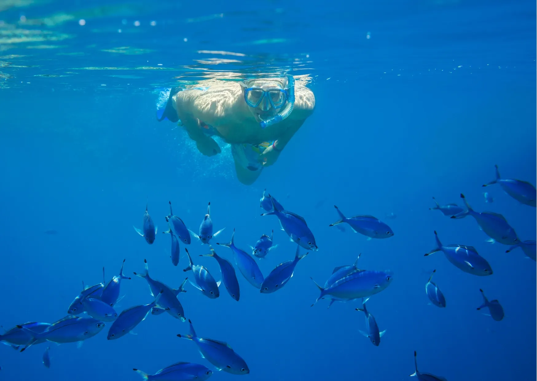 Snorkelaar in helderblauw zeewater met een school vissen