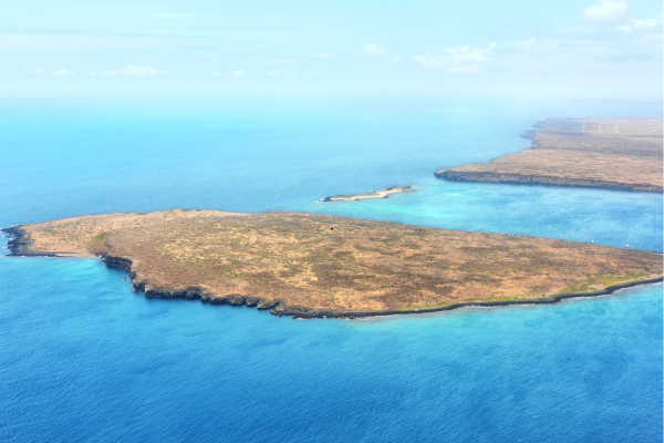 Galápagos – natuurreservaat kustlandschap