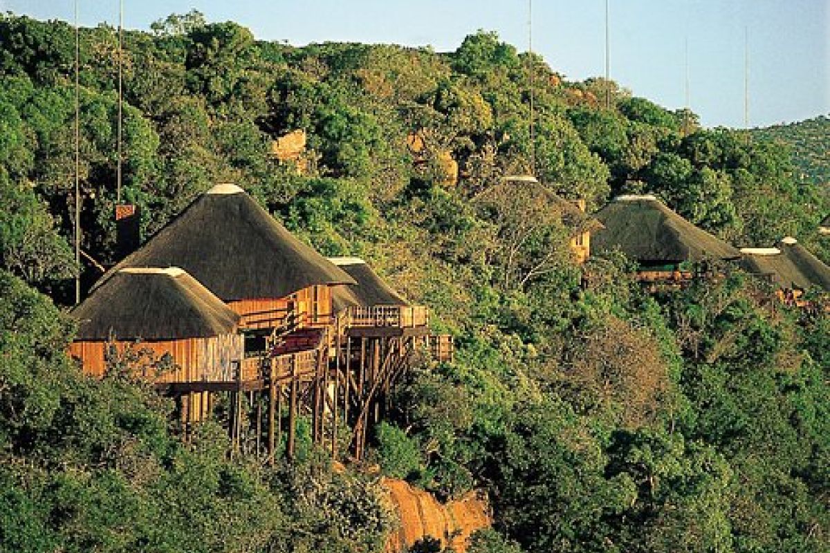 Entabeni Safari Conservancy Bela-Bela