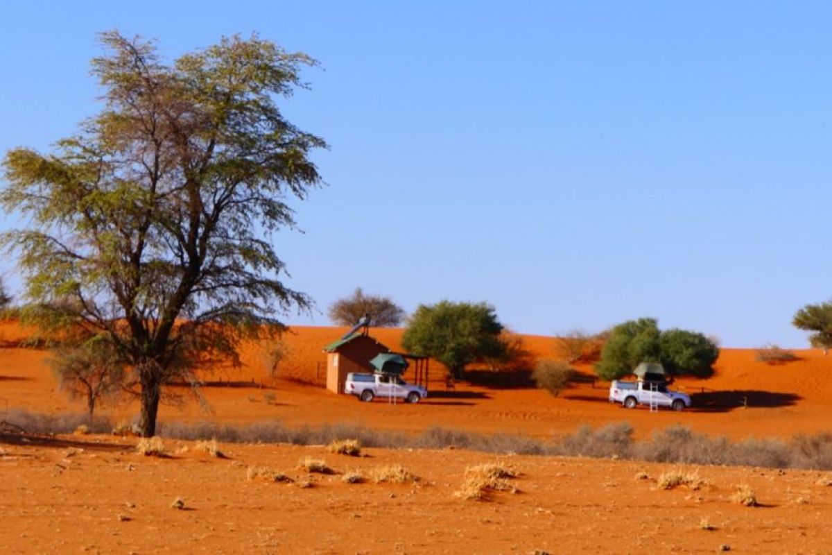 19-daagse Selfdrive Namibie, Van Canyon tot Kalahari