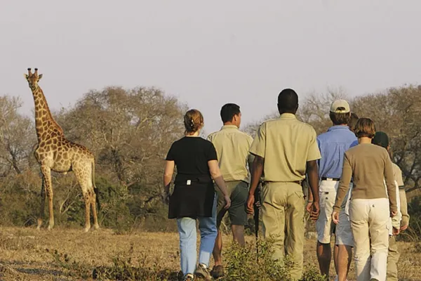 Ranger en reizigers tijdens bushwalk in Selous tussen graslanden en bomen