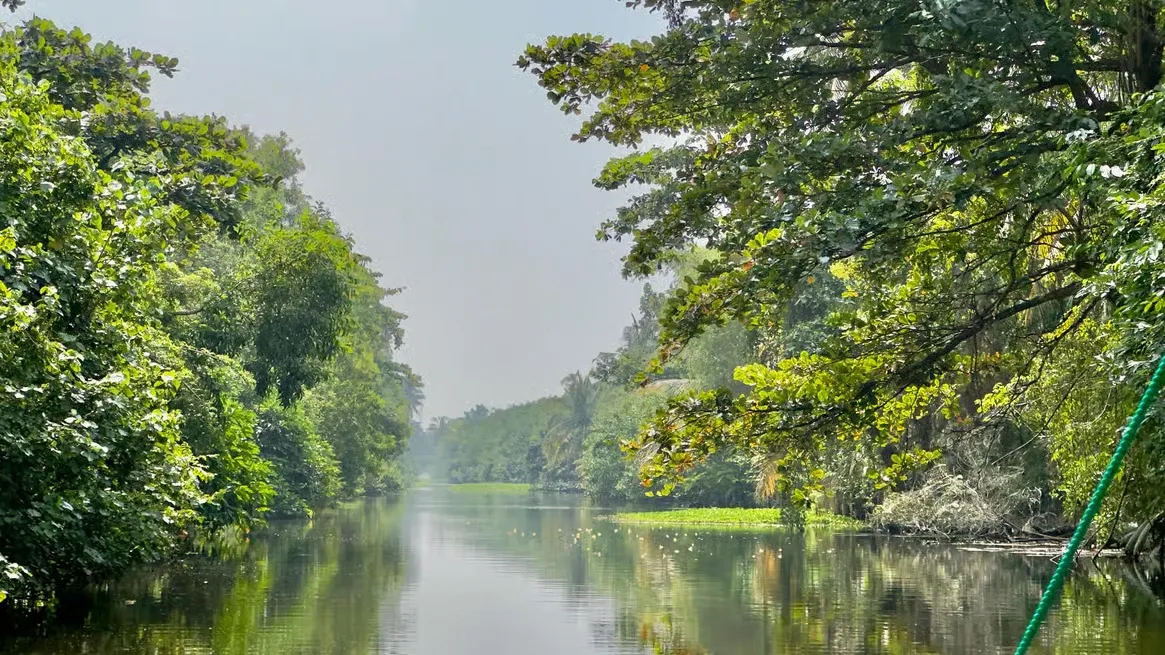 Muthurajawela-moerasgebied met groene wetlands en waterwegen bij Negombo, Sri Lanka