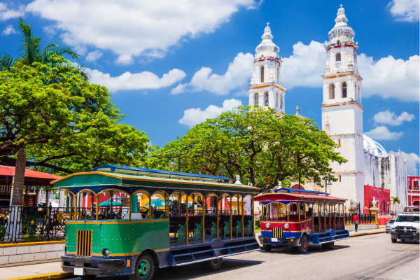 Tanzania_Olifanten bij sundowner