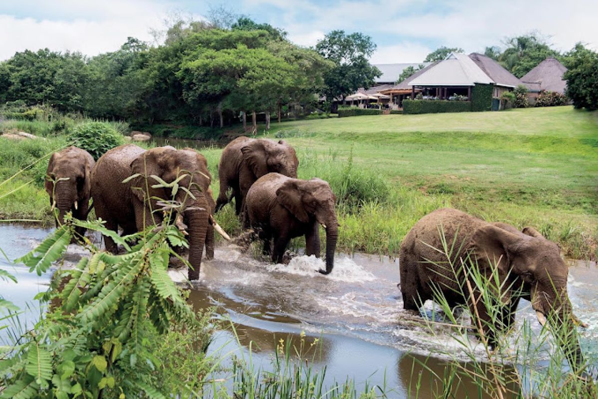 17-daagse Selfdrive - Zuid-Afrika - Kaapstad & Safari