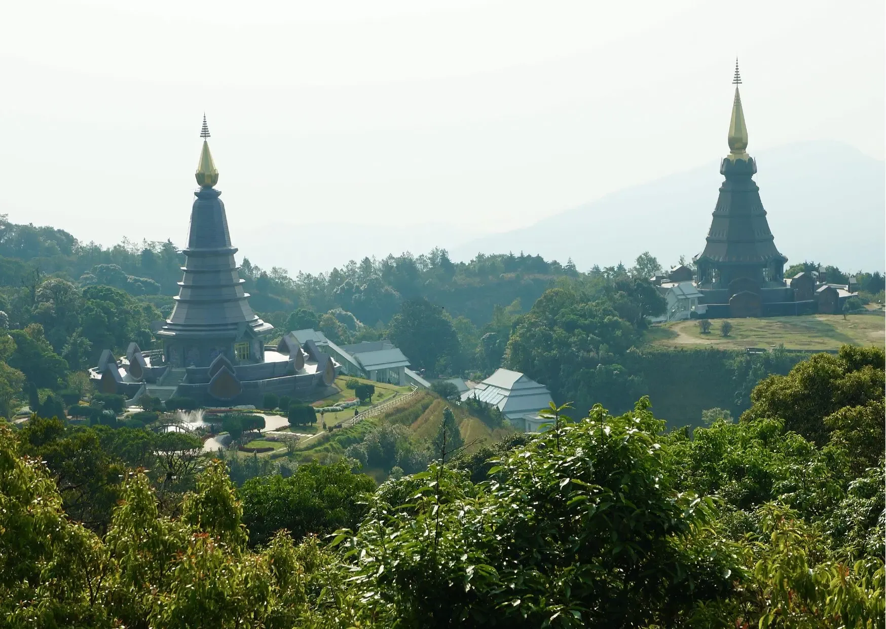 Jungle en natuur in Doi Inthanon National Park Thailand