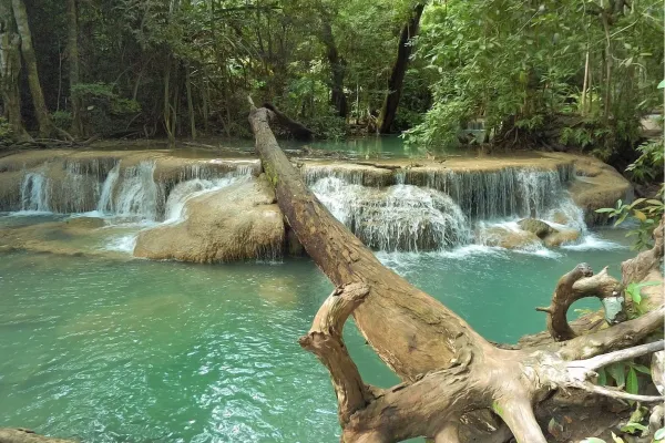 Tropische jungle en wandelpad in Erawan National Park Thailand