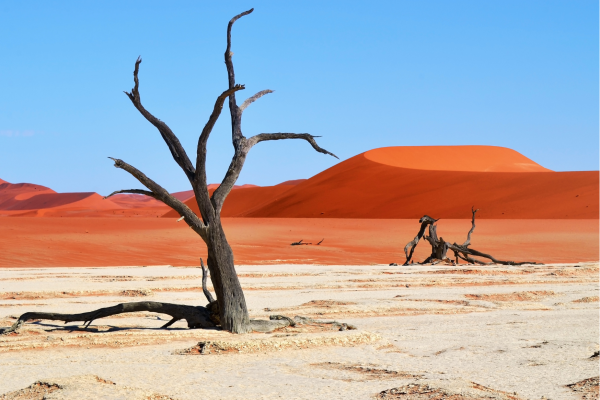 Rode zandduinen van Sossusvlei in de Namibwoestijn bij zonsopkomst