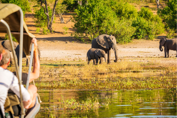 Botswana_Elephant Sands_Gamedrive met de boot