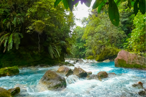Felblauwe Rio Celeste rivier in het regenwoud van Tenorio Nationaal Park.