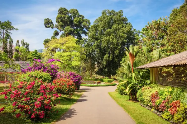 Royal Botanical Gardens in Peradeniya bij Kandy, Sri Lanka