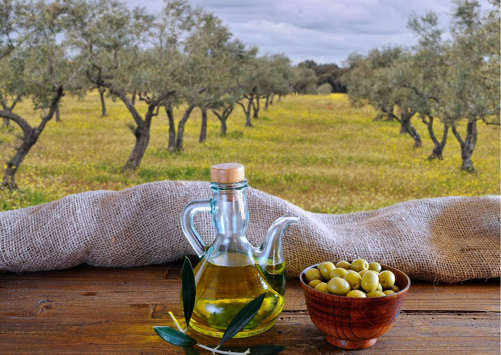 uitgestrekte olijfboomgaarden en een lokale olijfoliemolen, waar je uitleg krijgt over het productieproces van extra vierge olijfolie