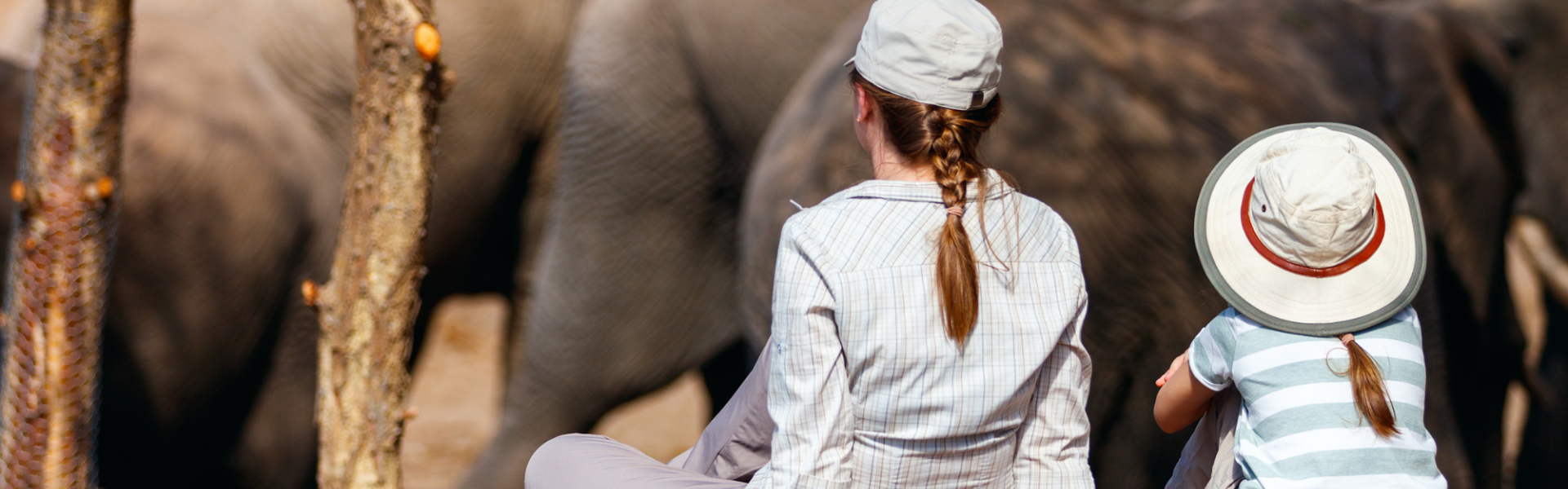 Safari met kinderen kijken naar olifanten bij waterput