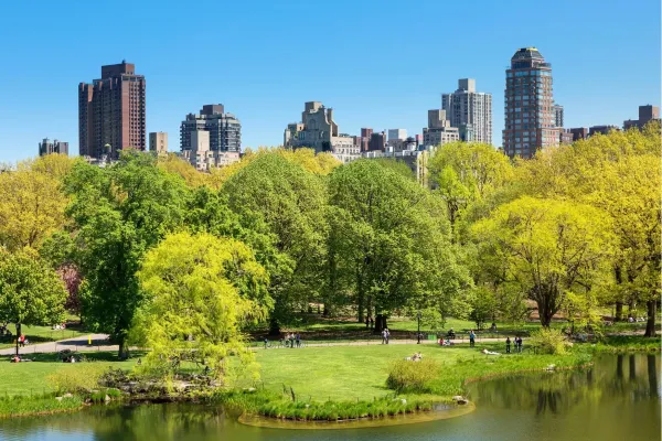 Wandelpaden en groene lanen in Central Park met de skyline van Manhattan op de achtergrond