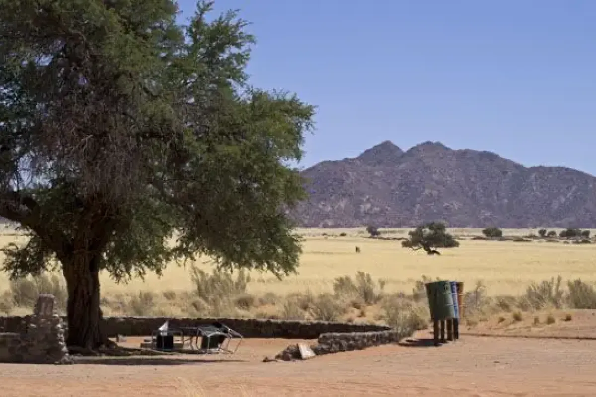 13-daagse Selfdrive Namibie, Van Canyon tot Safari