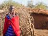 Masai-gemeenschap in traditioneel dorp met lemen hutten