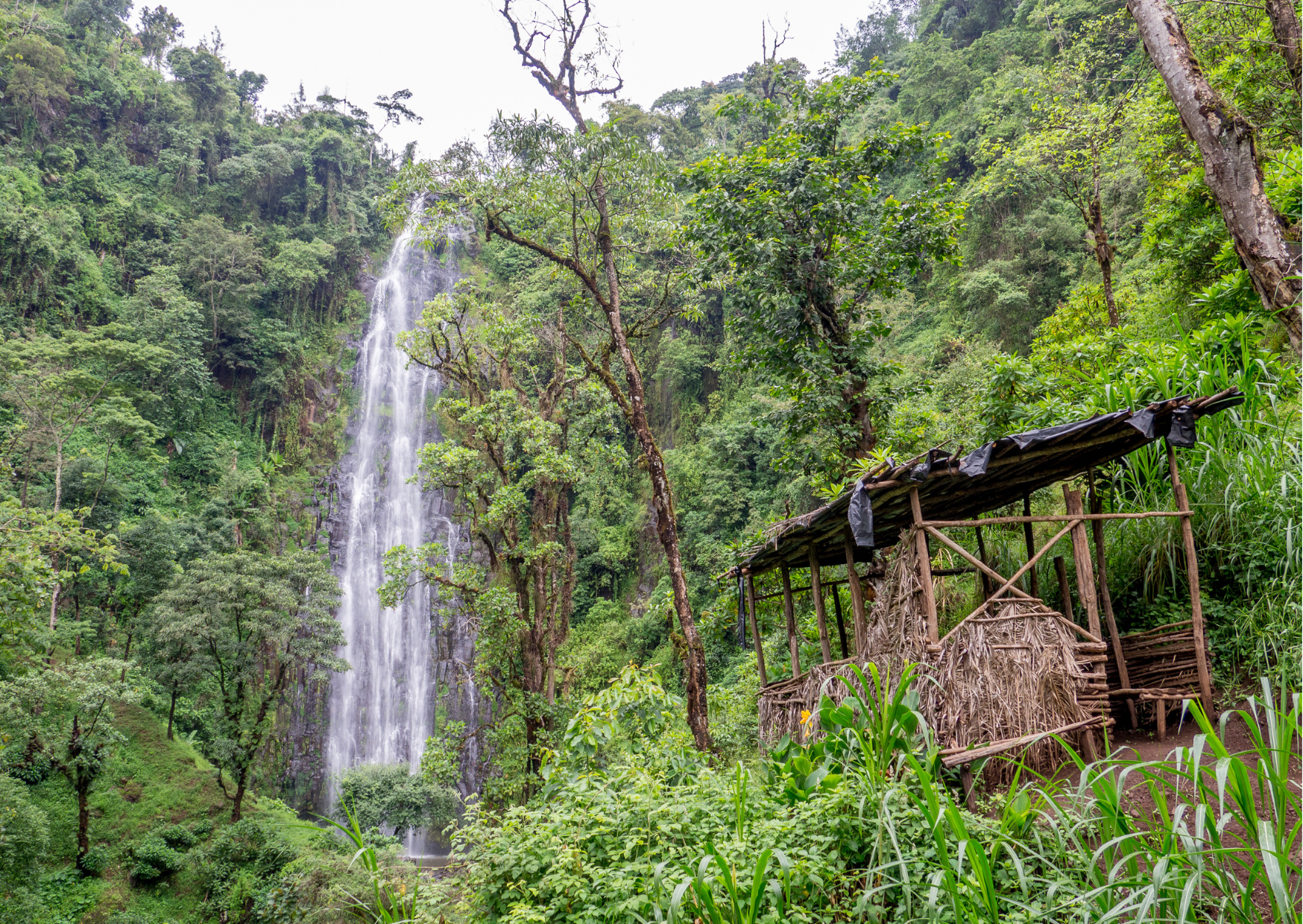 Moshi_Waterfall Tanzania