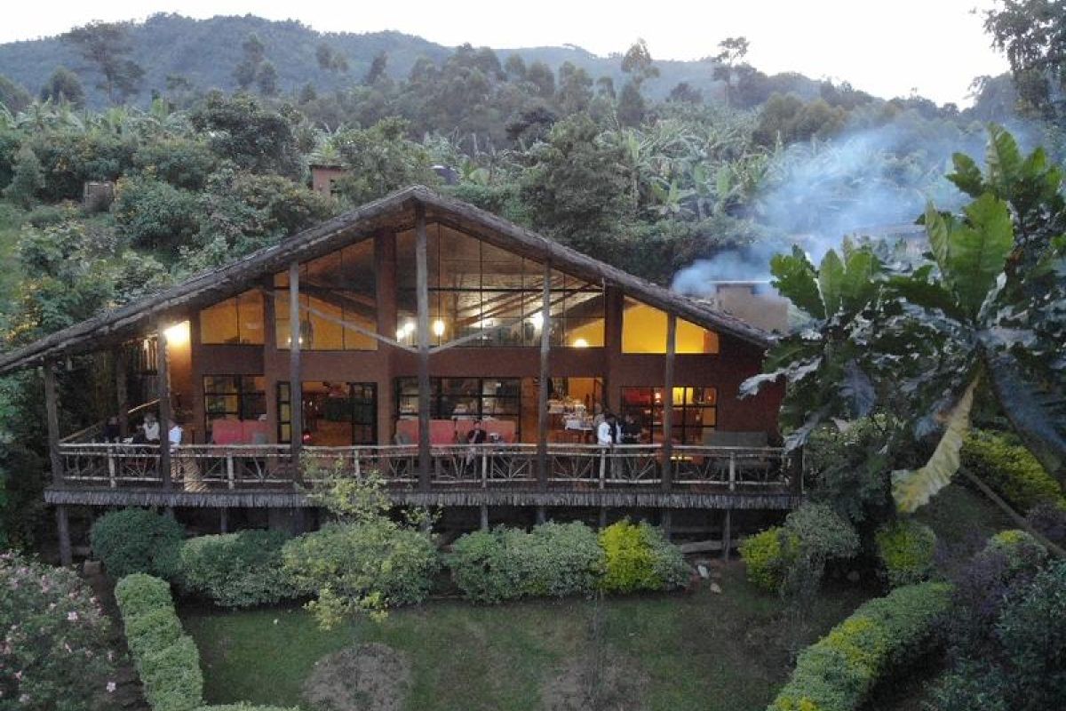 Mahogany Springs Lodge bij Bwindi met uitzicht op het tropische bergwoud