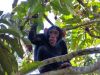 “Unieke chimpanseetrekking in Oeganda waarbij chimpansees in hun natuurlijke leefomgeving worden gevolgd.”