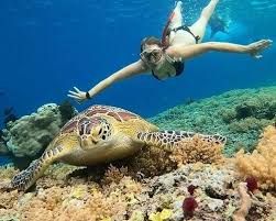 snorkelen rond de Gili-eilanden