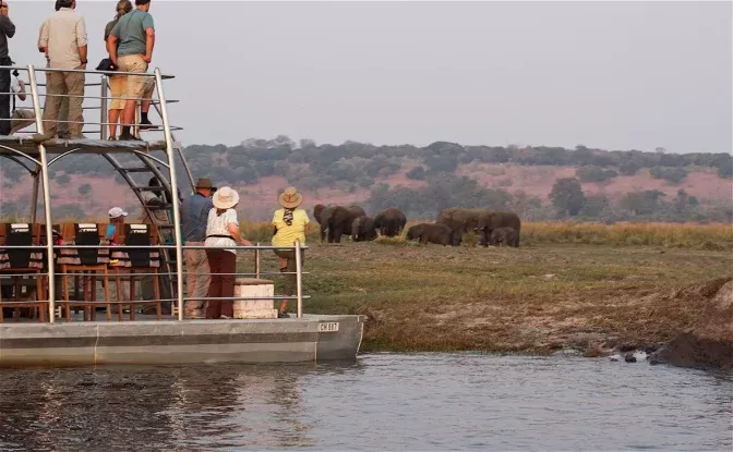 “Bootcruise op de Chobe River in Botswana met olifanten en nijlpaarden langs de oever”