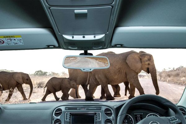 “Safari tijdens een 4x4 reis door Afrika met zicht op wildlife en open savannelandschap.”