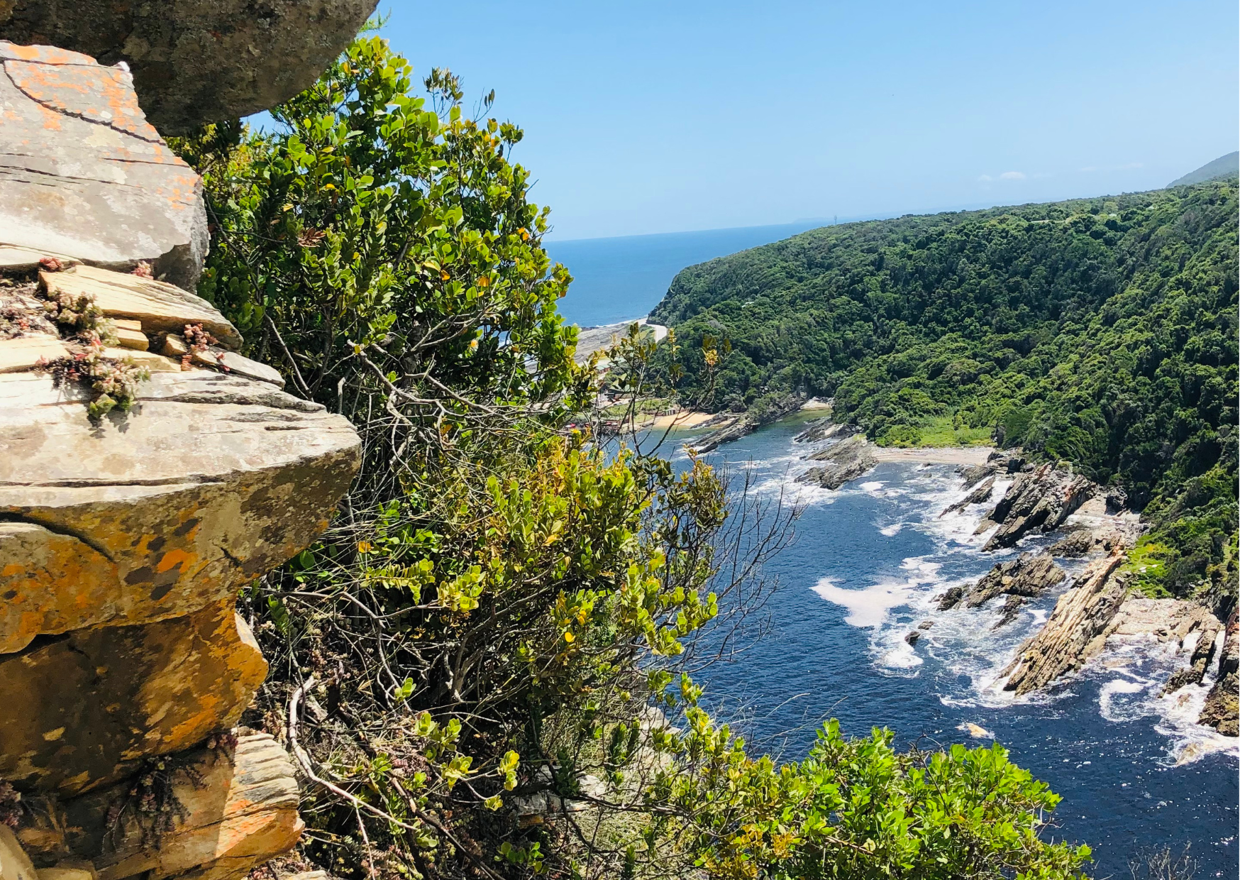 Tsitsikamma National Park Zuid Afrika