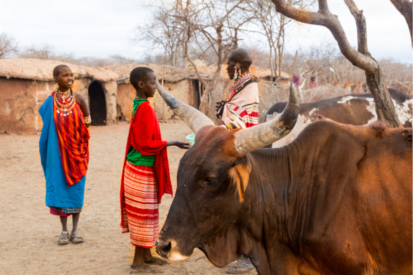Maasai Village_lokale bevolking
