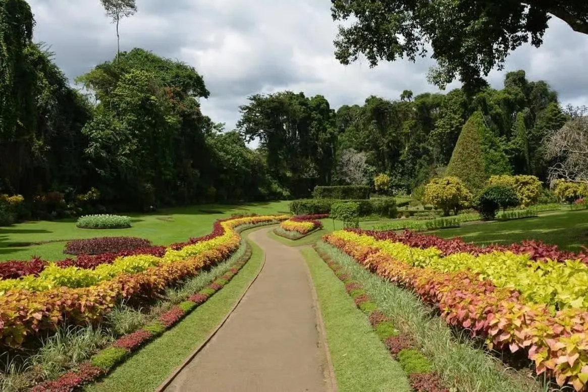 Royal Botanical Gardens in Peradeniya bij Kandy, Sri Lanka