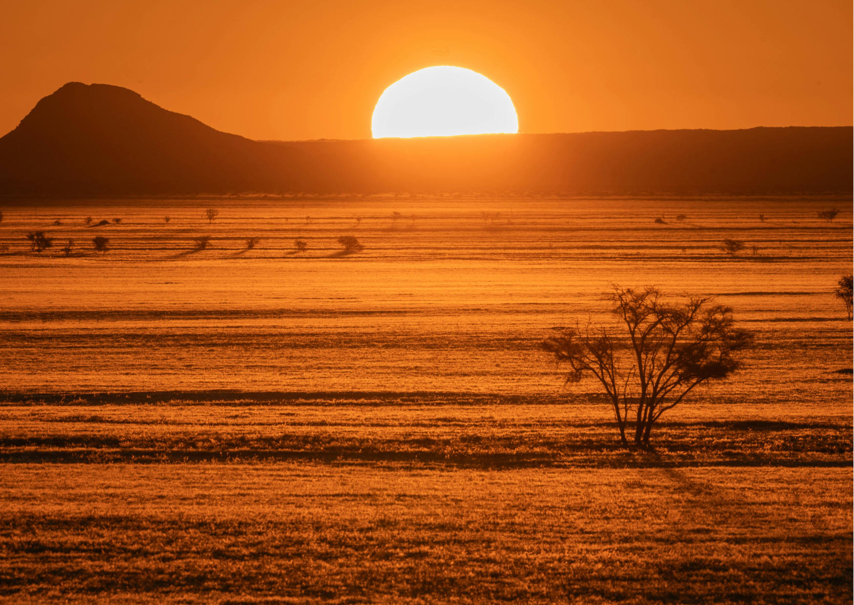 Namibie_Zonsondergang otjiwarongo