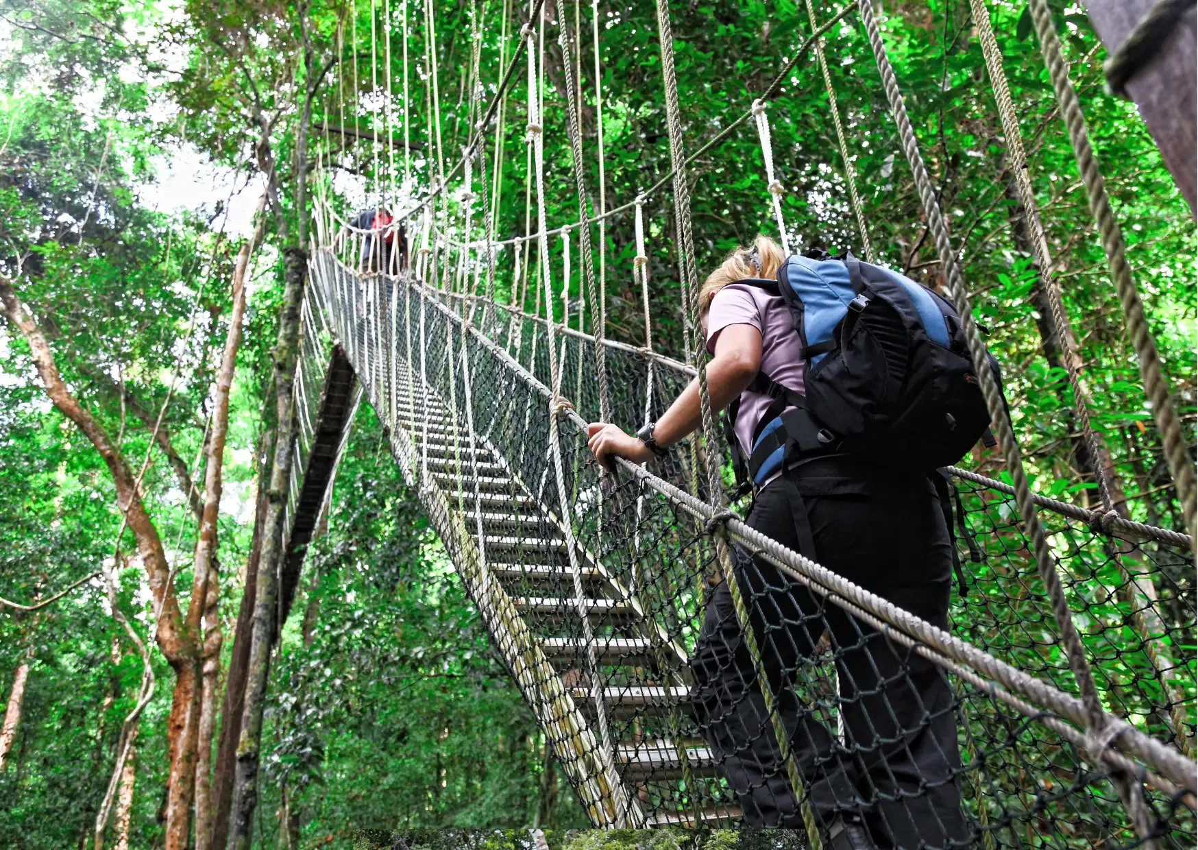 Wandelaar op de Canopy Walkway tussen de boomtoppen van Taman Negara