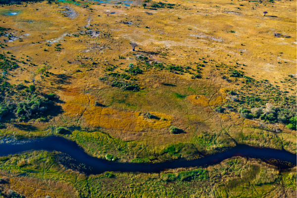 Maun_okavango Delta_rivier