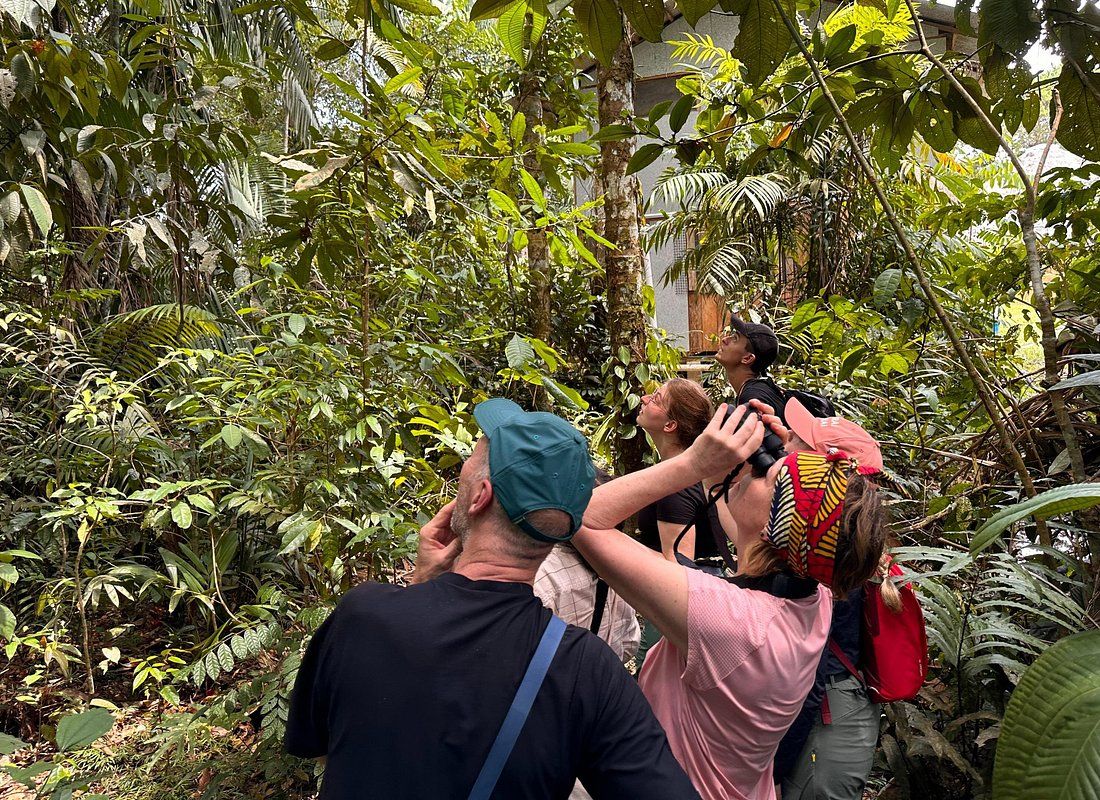 Jungle trek door het Amazonegebied van Ecuador, wandelend door dicht tropisch regenwoud met gids en kans op wildlife.