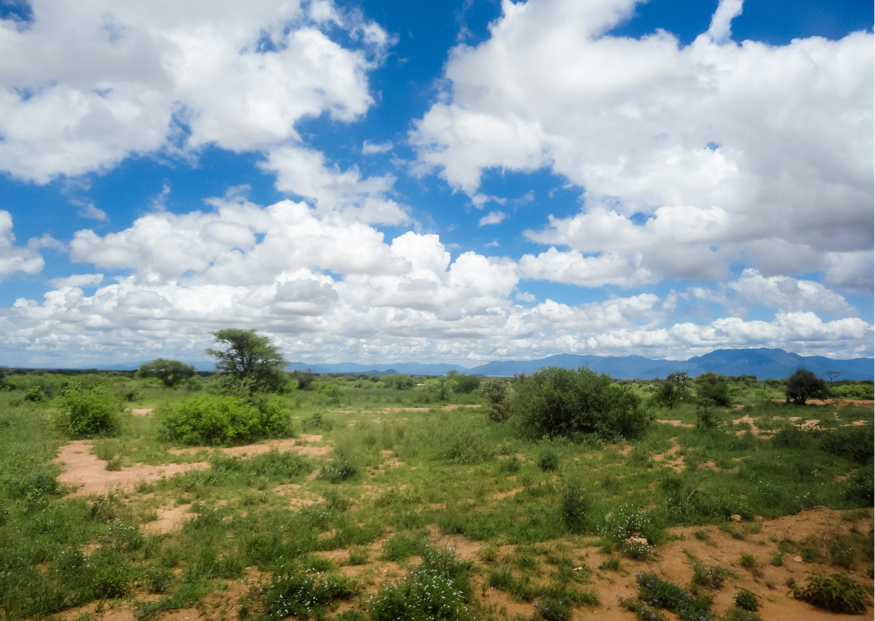 Moshi landschap Tanzania