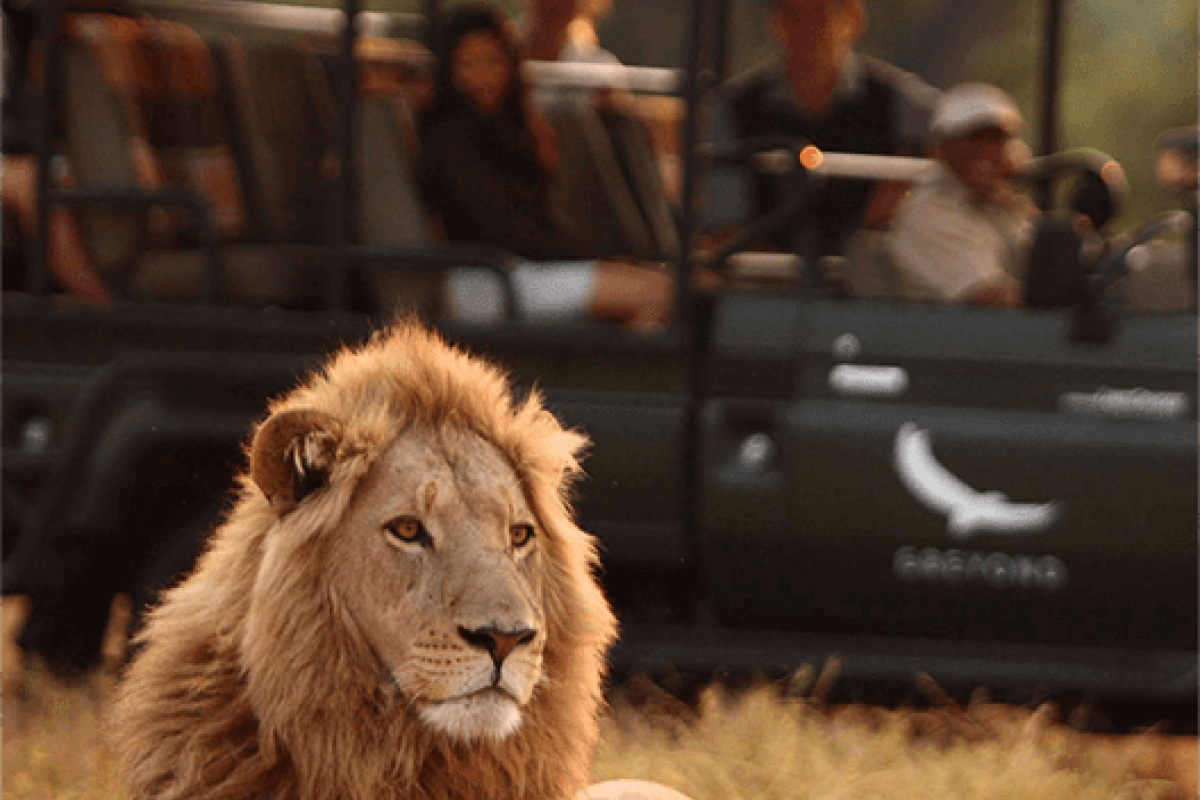 23-daagse Selfdrive Zuid-Afrika, Highlights of Zuid-Afrika