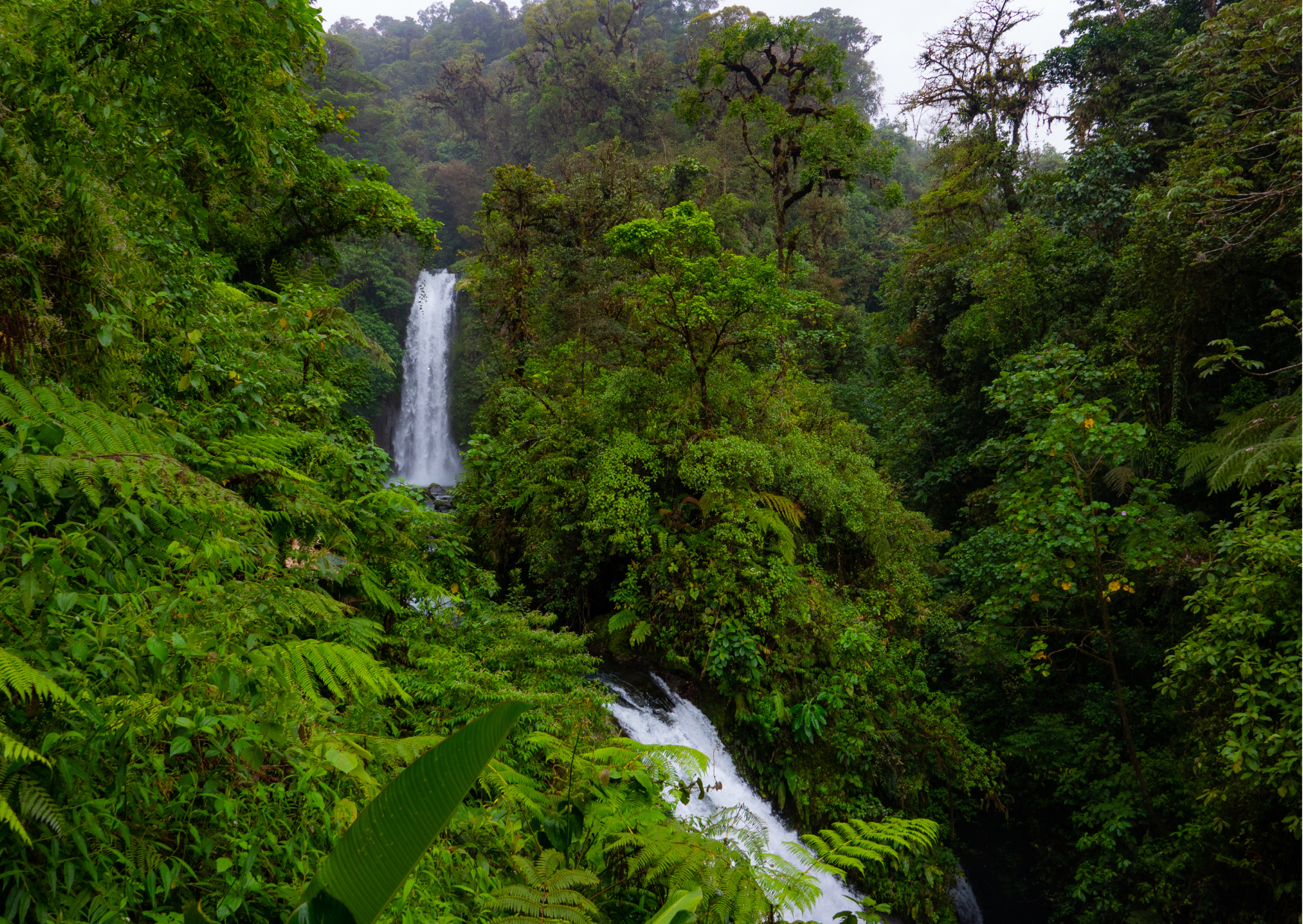 La Paz waterval in het tropische regenwoud van Costa Rica.