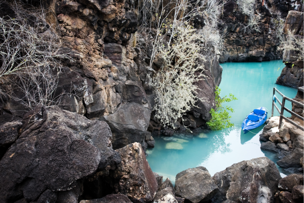 Tropische vissen en schildpadden tijdens een snorkeltocht bij Mosquera op de Galápagoseilanden.
