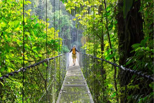 Hangbrug in het regenwoud bij Arenal tijdens een rondreis Costa Rica.