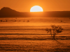 Namibie_Zonsondergang otjiwarongo