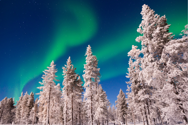Besneeuwd Lapland met noorderlicht tijdens rondreis 5 dagen in Rovaniemi