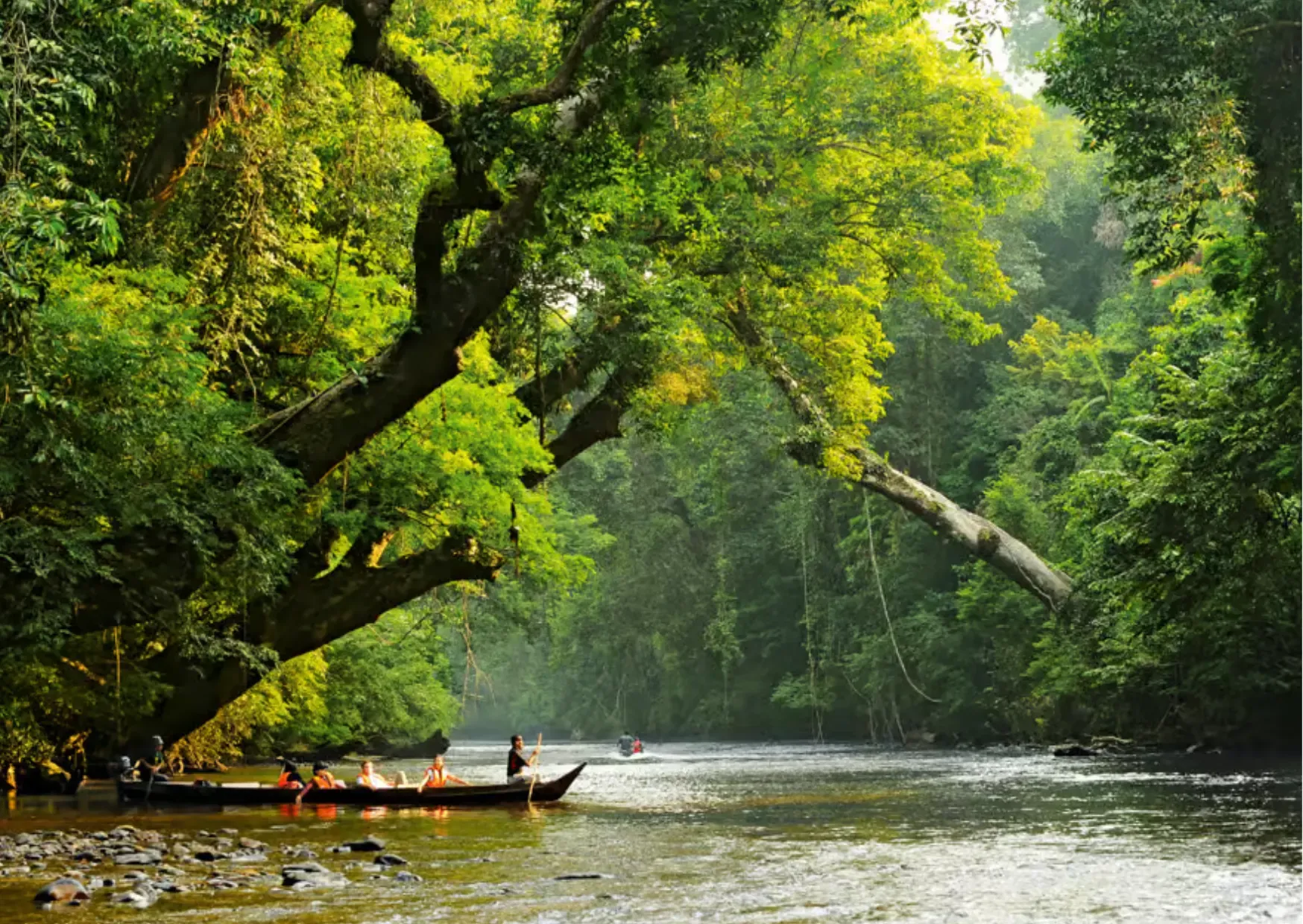 Traditionele boot op de rivier bij Lata Berkoh in Taman Negara
