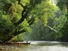 16-daagse rondreis Maleisië met Taman Negara en Pangkor Traditionele boot met reizigers op een rivier door het regenwoud