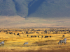 Ngorongoro krater_Tanzania