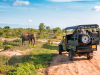 Tanzania_Gamedrive met olifant