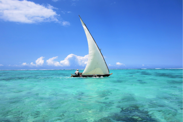 Madikwe Leeuw loopt op weg tijdens gamedrive Zuid-Africa