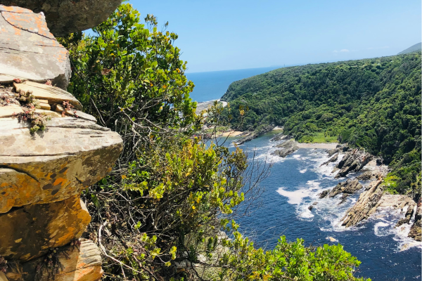 Tsitsikamma National Park Zuid Afrika