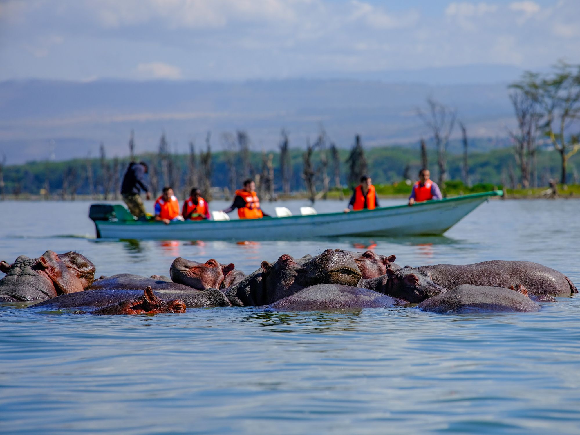 Boot op Lake Naivasha met nijlpaarden in het water op de achtergrond