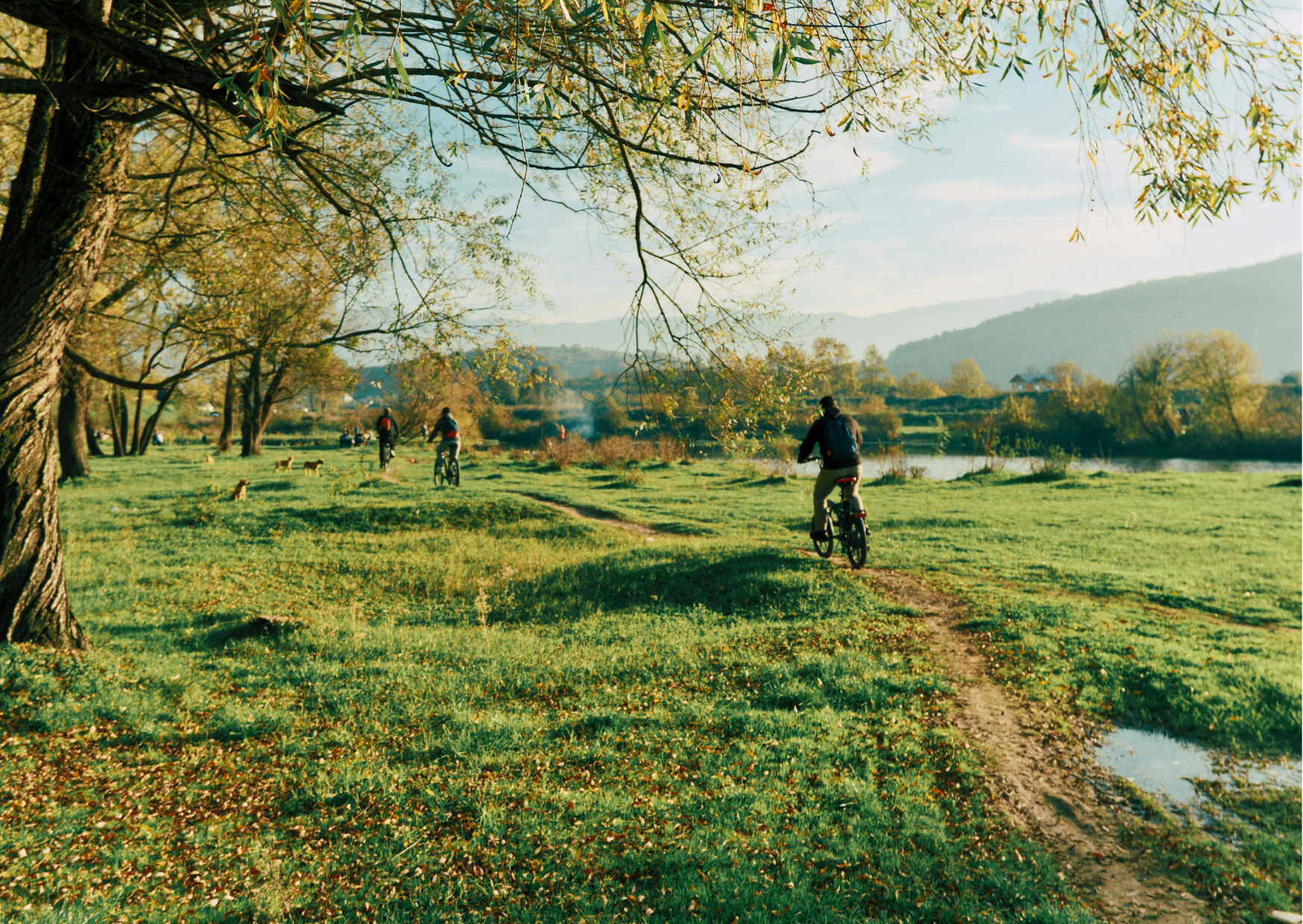 Avontuurlijke fietssafari in Lake Mburo, een unieke manier om wildlife van dichtbij te beleven terwijl je door open vlaktes en acaciabossen rijdt